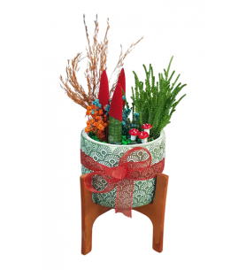 Paşa Kılıcı "Sanseveria" Aranjman.